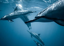 开云登录入口：开启数字生活的新门槛与体验